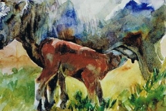 Calf with White Cow