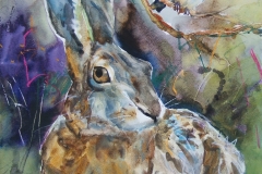 Hare and Robin