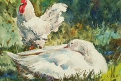 Cockerel and Sleeping Goose