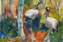 Cranes at Slimbridge