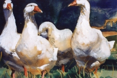 Geese Quartet